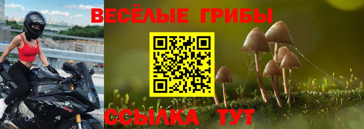 Псилоцибиновые грибы Psilocybine cubensis Нурлат